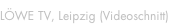 shapeimage_7_link_0